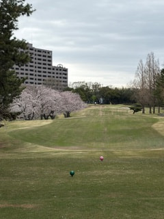 2026年REHA・REHAグループ杯コンペ